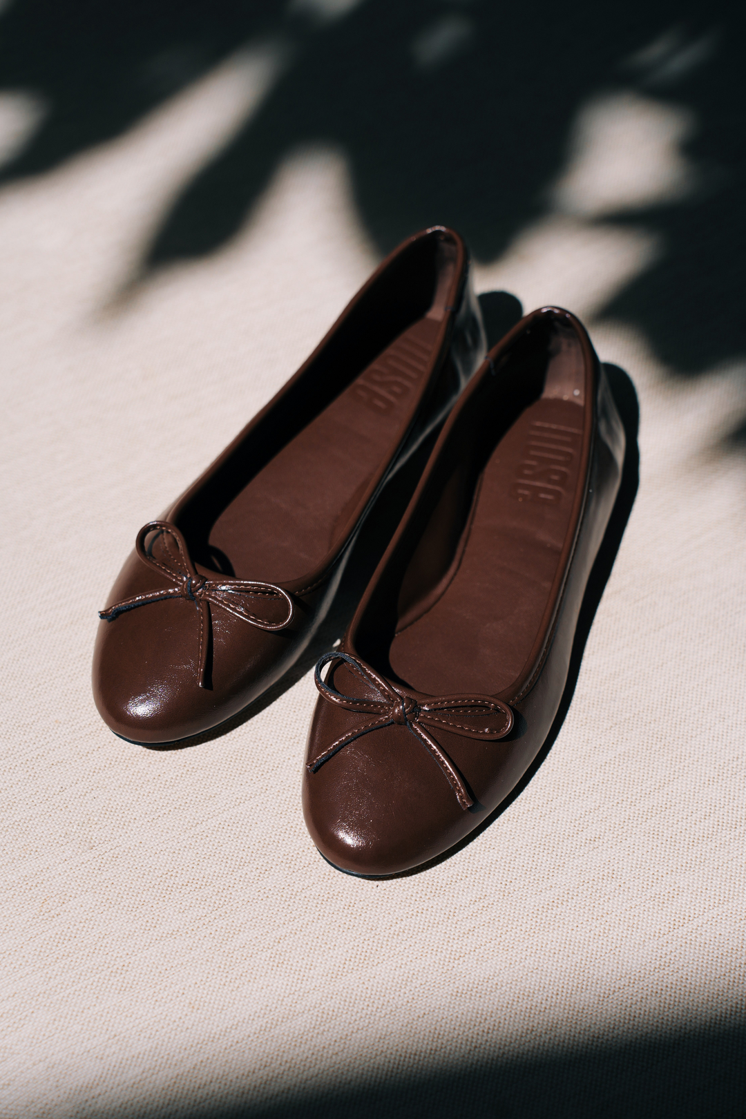 #color_sealbrown