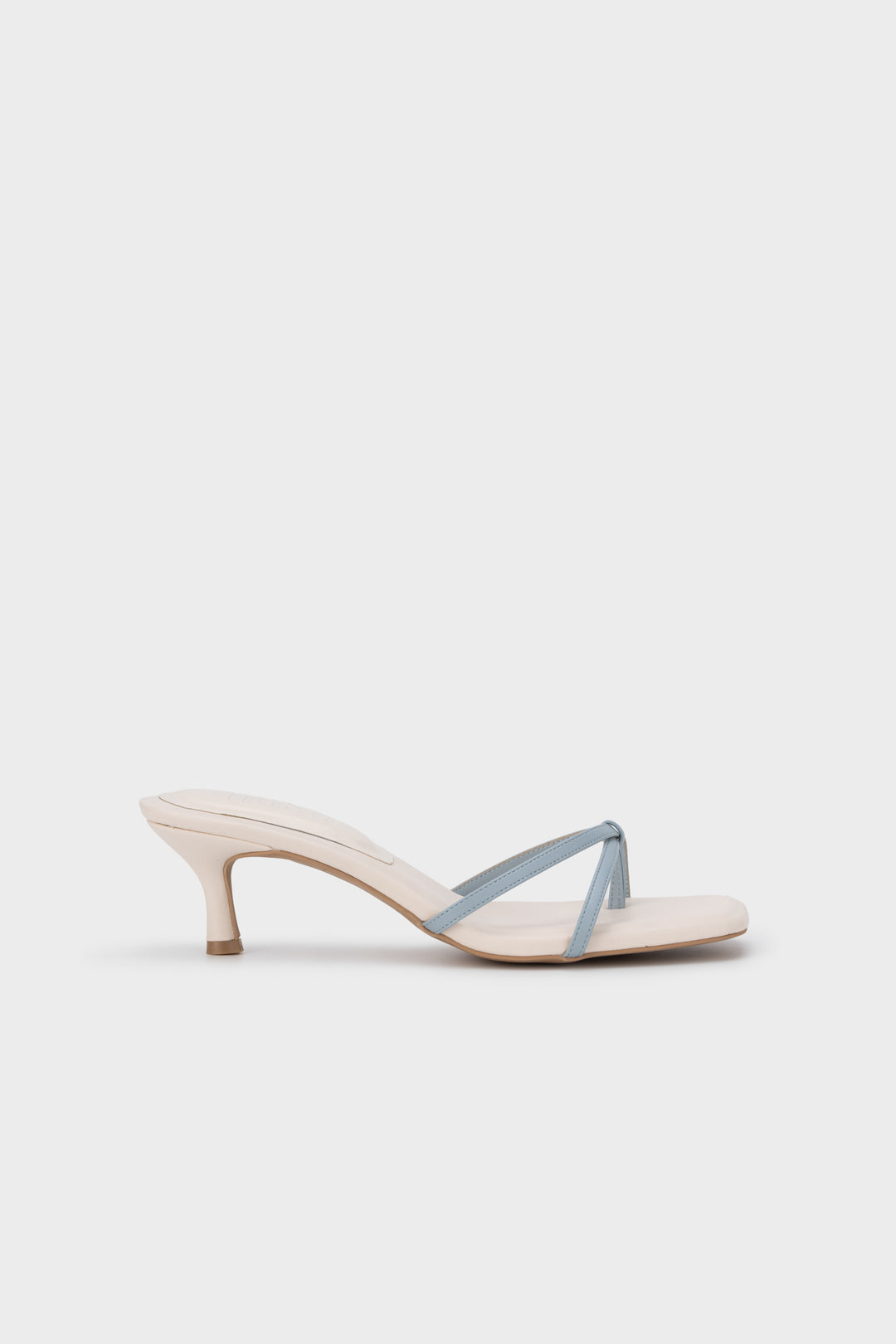 #color_two-tone-blue