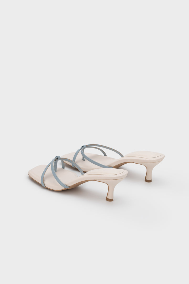 #color_two-tone-blue