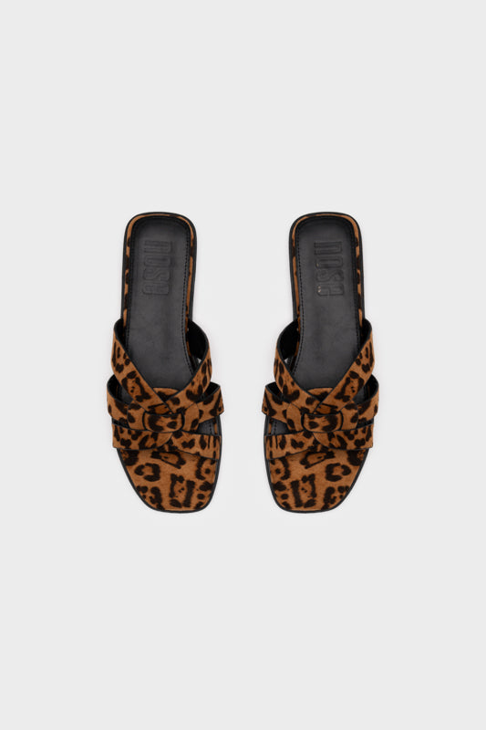 #color_leopard-print