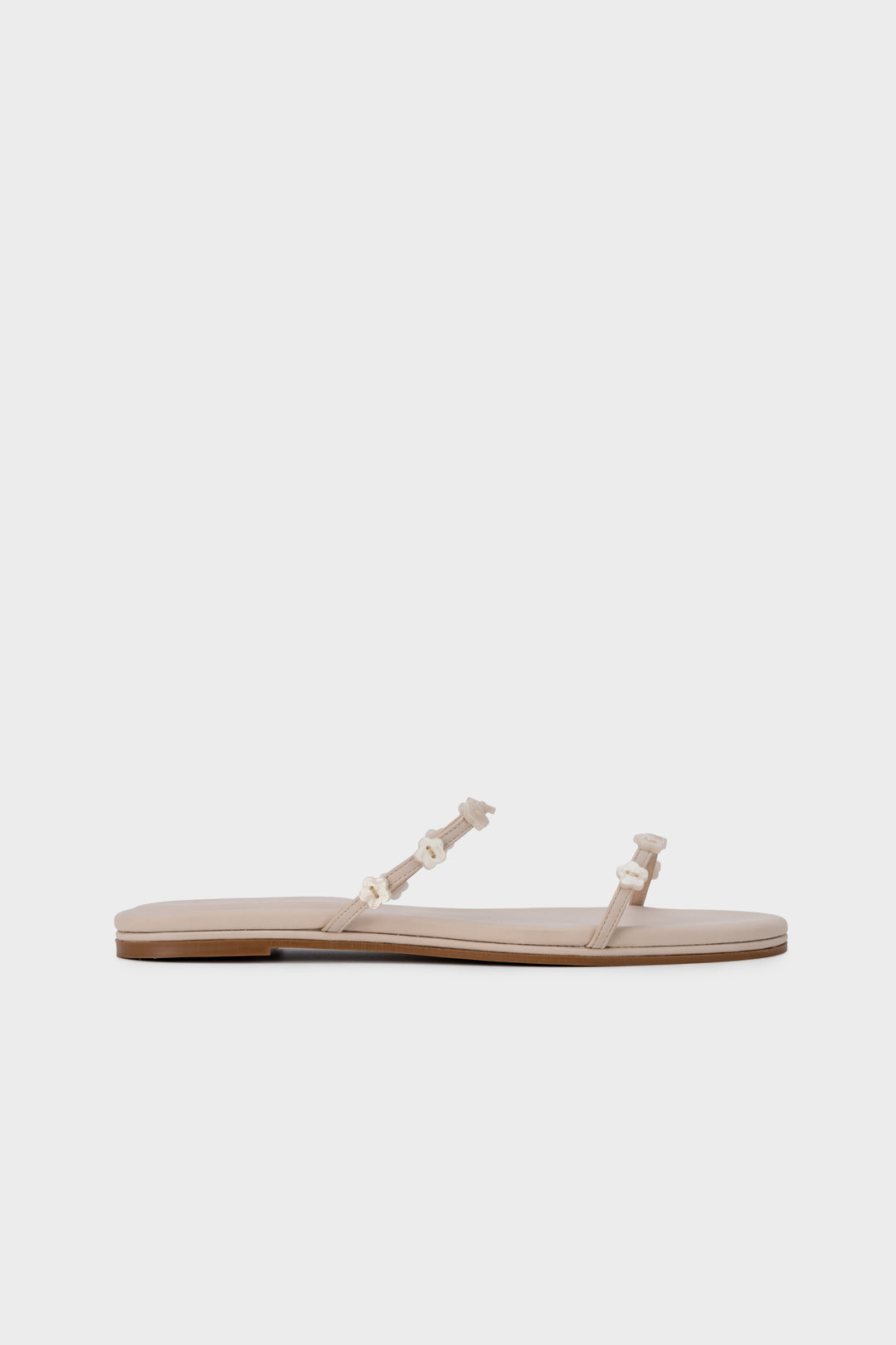#color_ivory