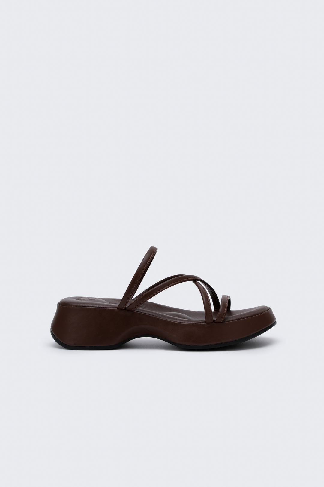 #color_sealbrown