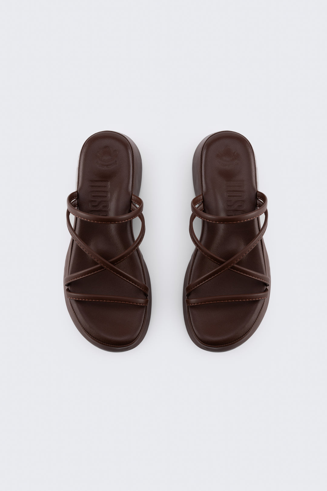 #color_sealbrown