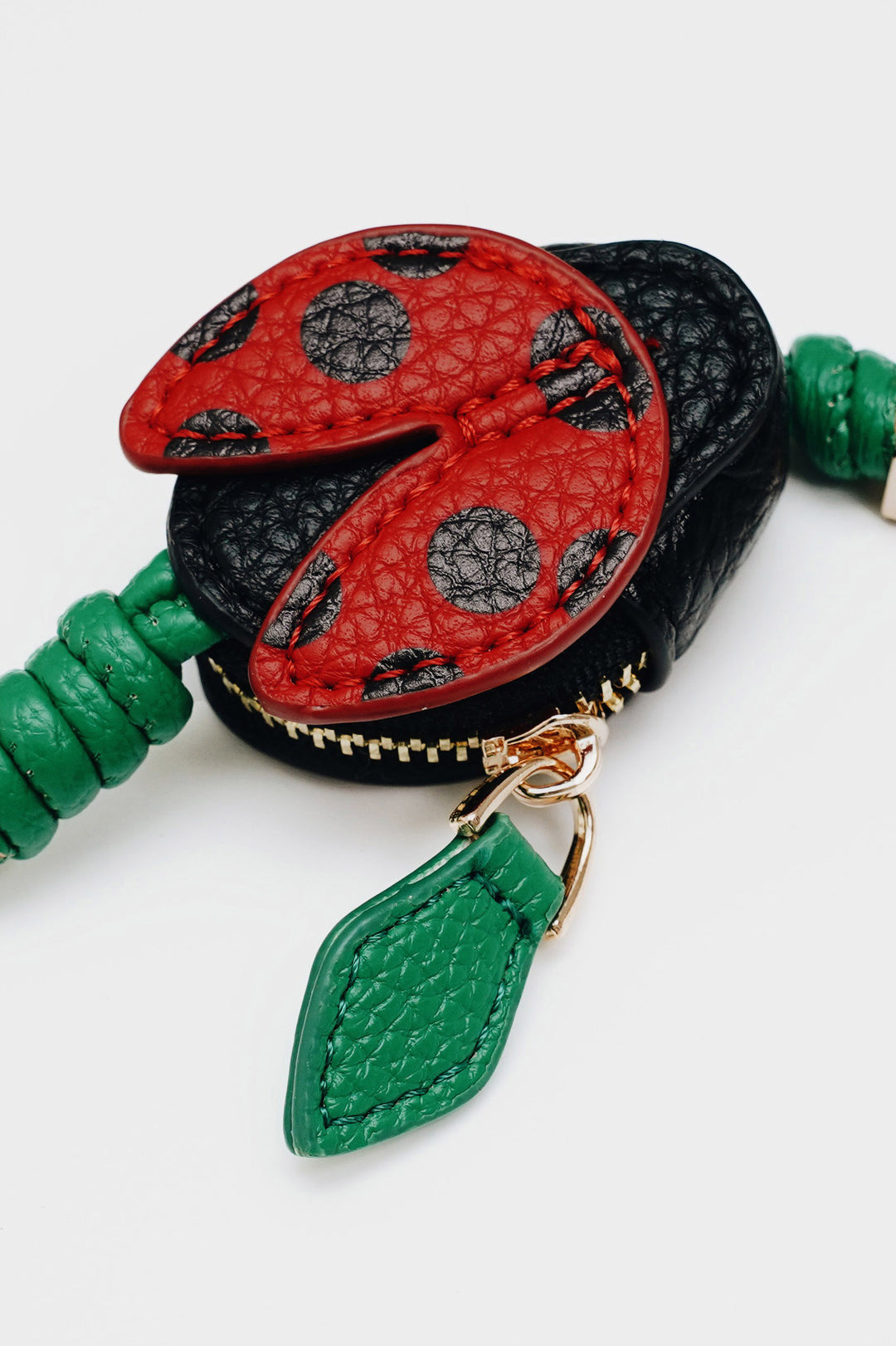 #color_ladybug